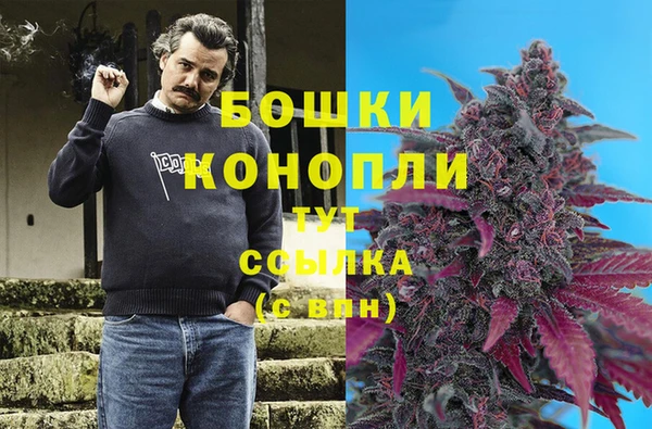 трава Новодвинск