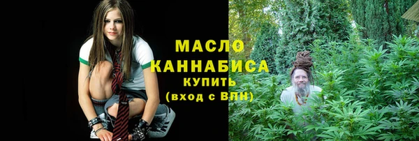 хмурый Новозыбков
